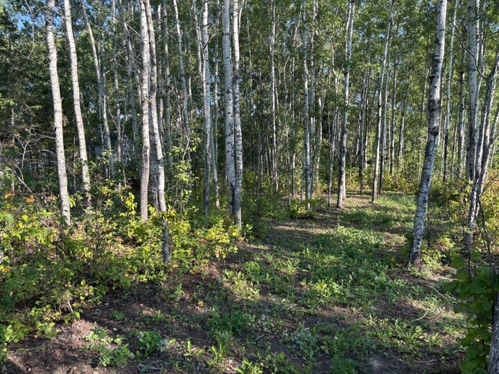 Property Photo:  660022 - Range Road 225.5 (Unit 35) #226  AB T9S 1C4 
