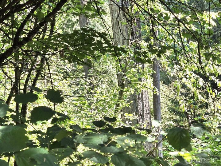 Property Photo: 21815 Beachside Drive SE WA 98597