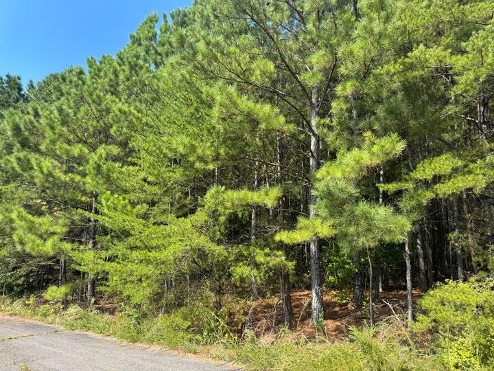 Property Photo:  Lot 6 Kimwood Subdivision  AL 35503 