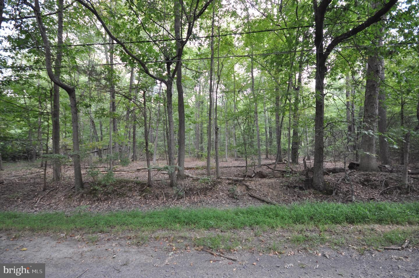 Property Photo: Finnegans Ln Ave B NJ 08824