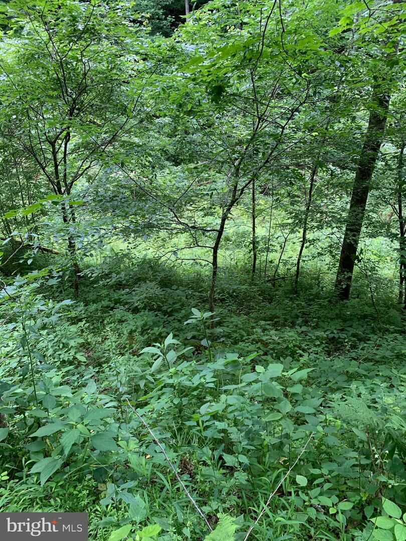Property Photo: Route 5 WV 24966