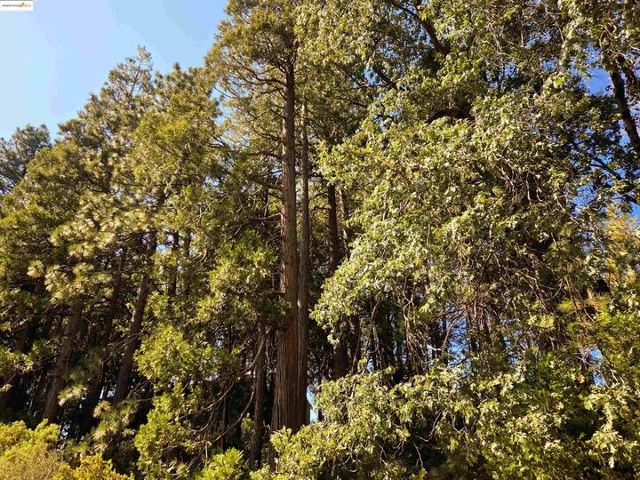 Property Photo:  22558 Confidence Road  CA 95383 