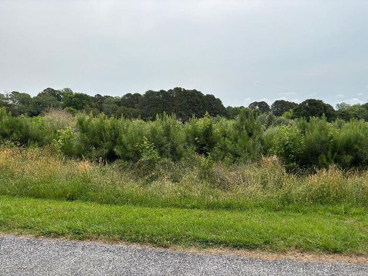 Property Photo:  Lot 42 Mallard Ln  VA 23405 