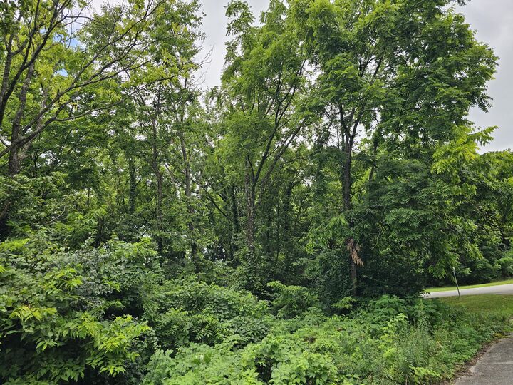 Property Photo: 538 Lincoln Street KY 40342