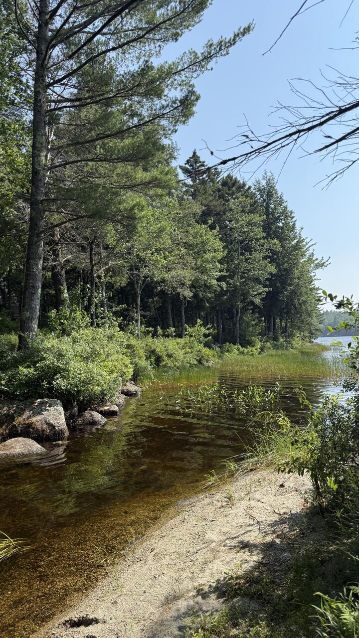 Property Photo: Lot #1 Bucksport Road ME 04605