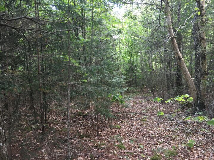 Property Photo: B-2backlot Pioneer Path ME 04605
