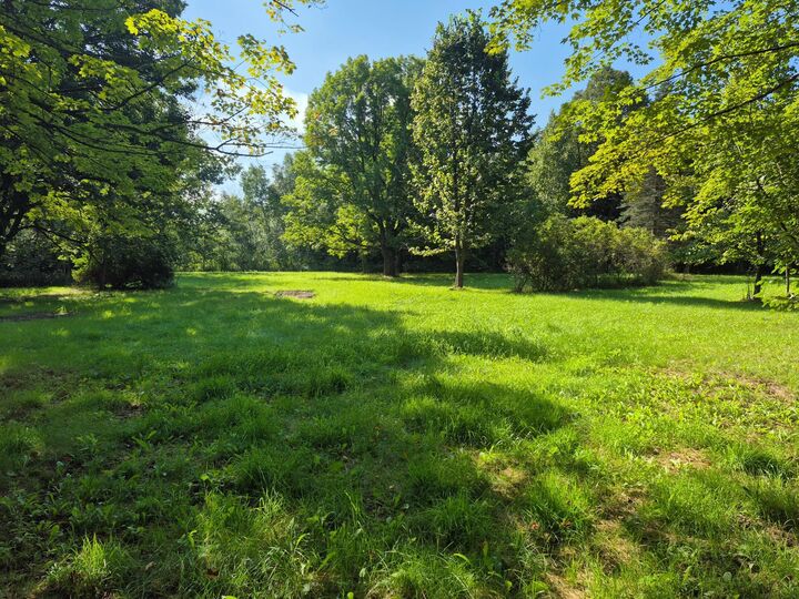 Property Photo:  Xxx State Hwy 169  MN 56359 