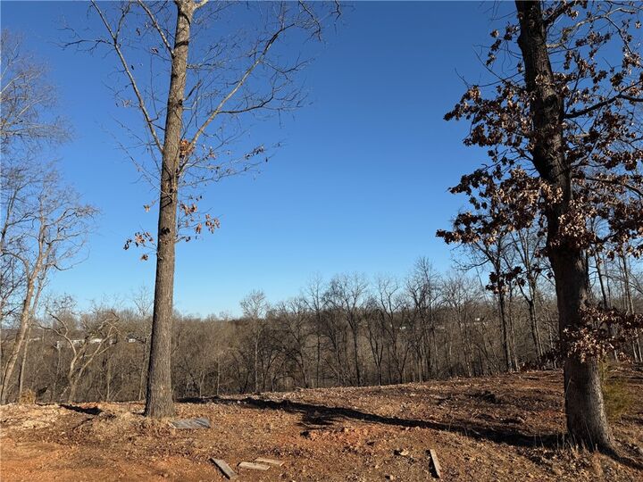 Property Photo:  Lot 10 Hawks Nest  AR 72756 