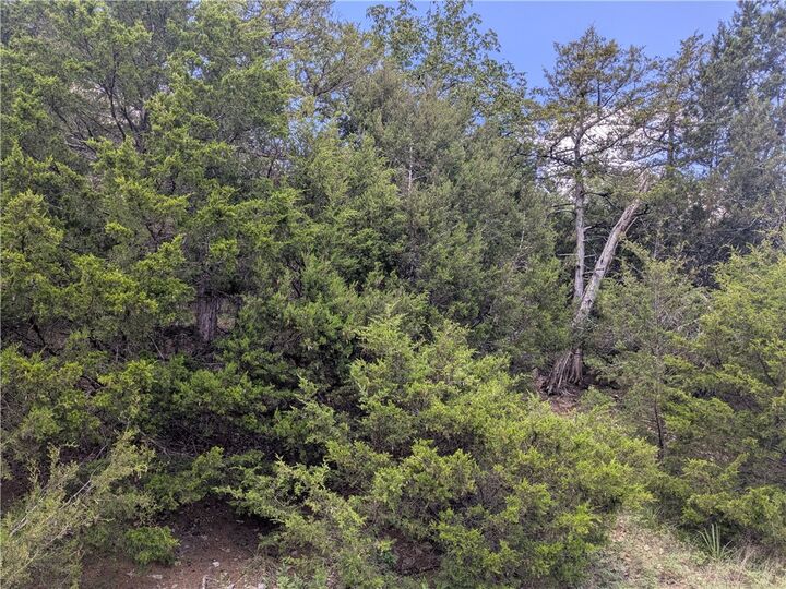 Property Photo: 50 Deerrun Drive AR 72631