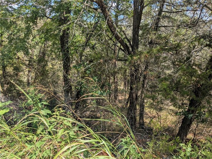 Property Photo:  24 Beaver Drive  AR 72631 