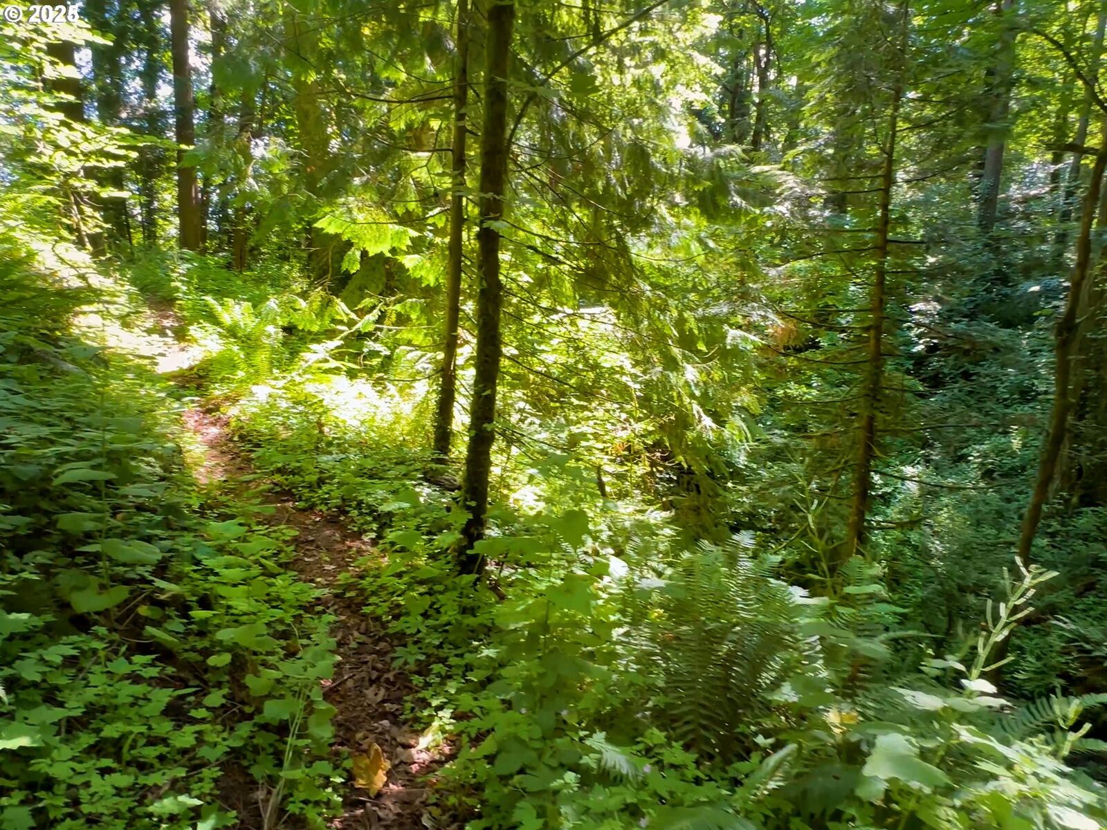 Property Photo: 6320 SE Roethe Rd OR 97267