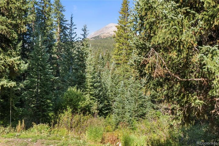 Property Photo:  527 Tordal Way  CO 80424 