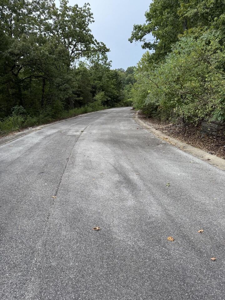 Property Photo:  Tbd Skylee Drive  MO 65672 