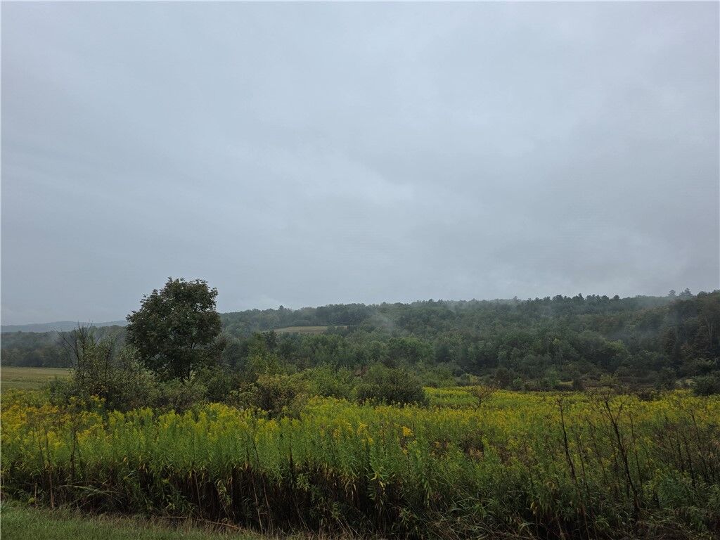 Property Photo:  0 Symonds Road  NY 14801 