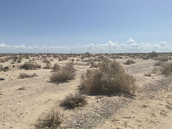 Property Photo:  2240 Panorama Avenue  CA 92274 