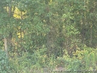 Property Photo:  2743 Pine Log Road  NC 28360 