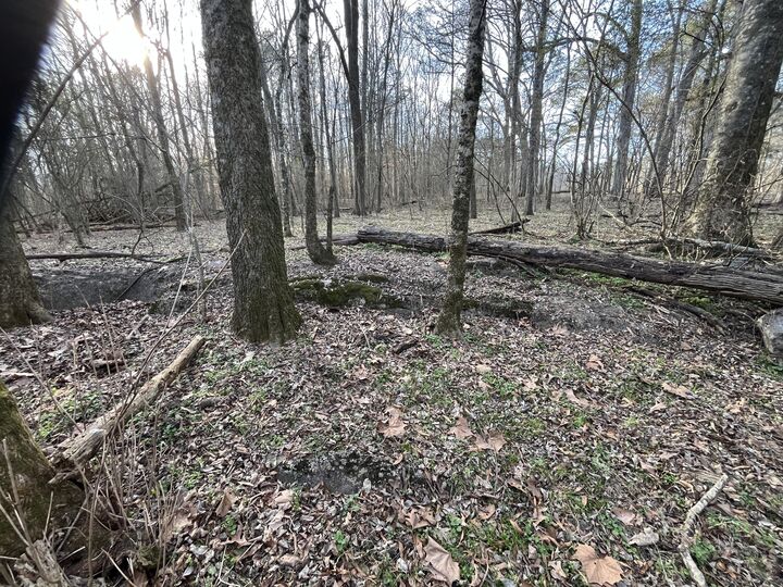 Property Photo: 39 Acres Quinton Road GA 30740