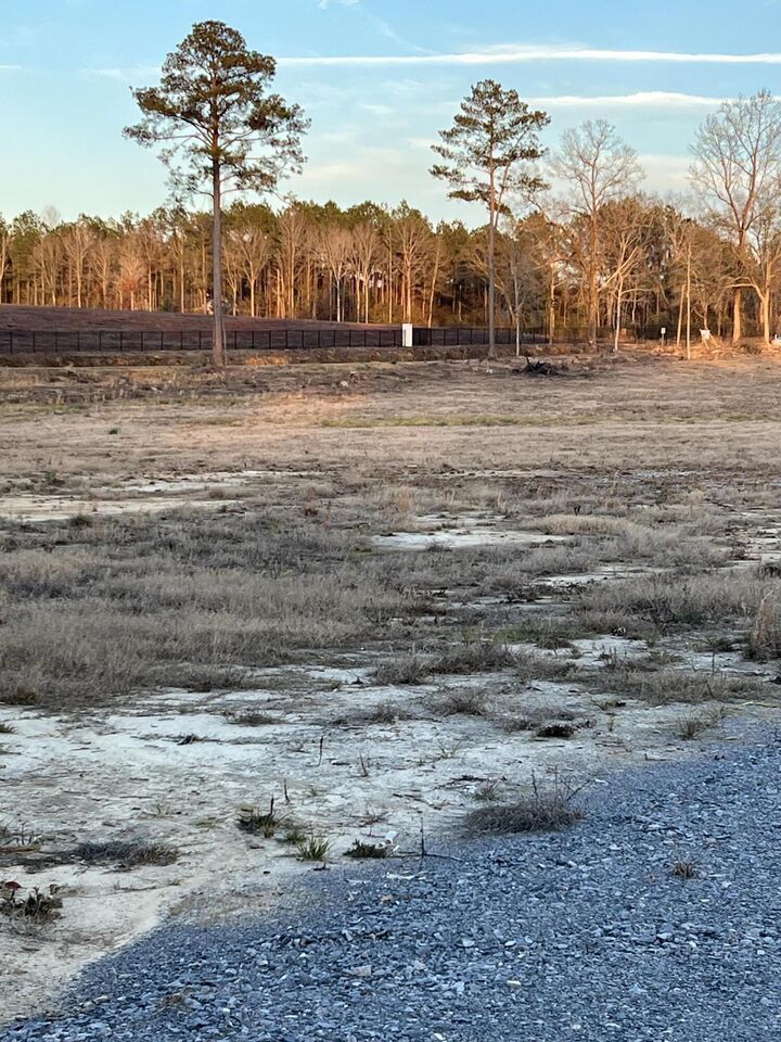 Property Photo: Lt 8 1 Acr Patton Creek Rd. MS 39367