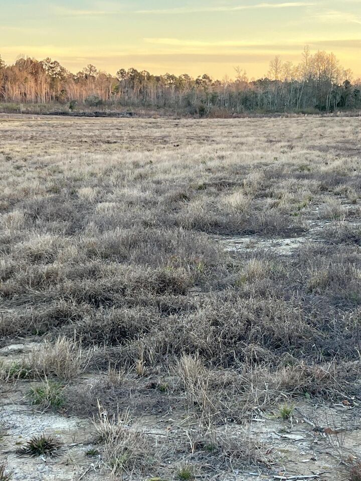 Property Photo:  Lot 7 1 Ac Patton Creek Rd.  MS 39367 