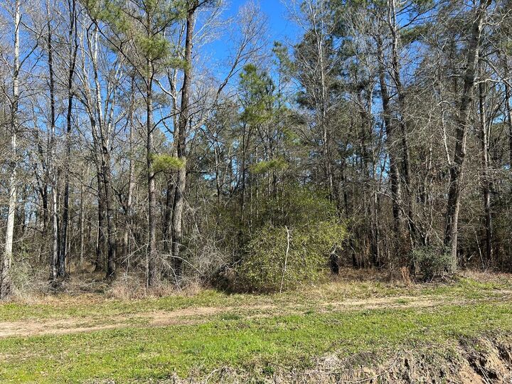 Property Photo:  1.24 Ac Circle 5  TX 77632 