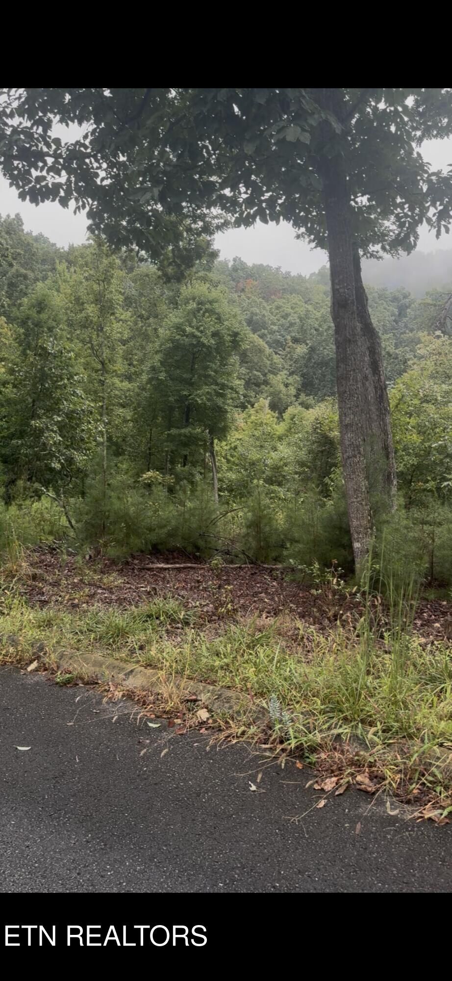 Property Photo: 2029 Duck Cove Drive TN 37922