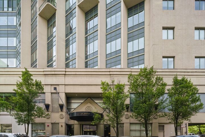 Property Photo:  111 W Maple Street 1508  IL 60610 