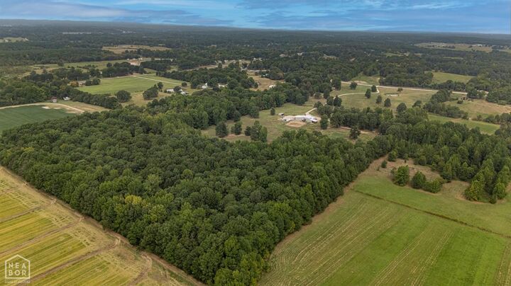 Property Photo: 1387 Greene Road 517 AR 72443