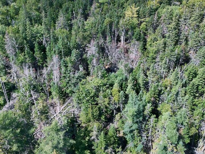 Property Photo:  Old Louisbourg Road New Boston Road  NS B1K 2P7 