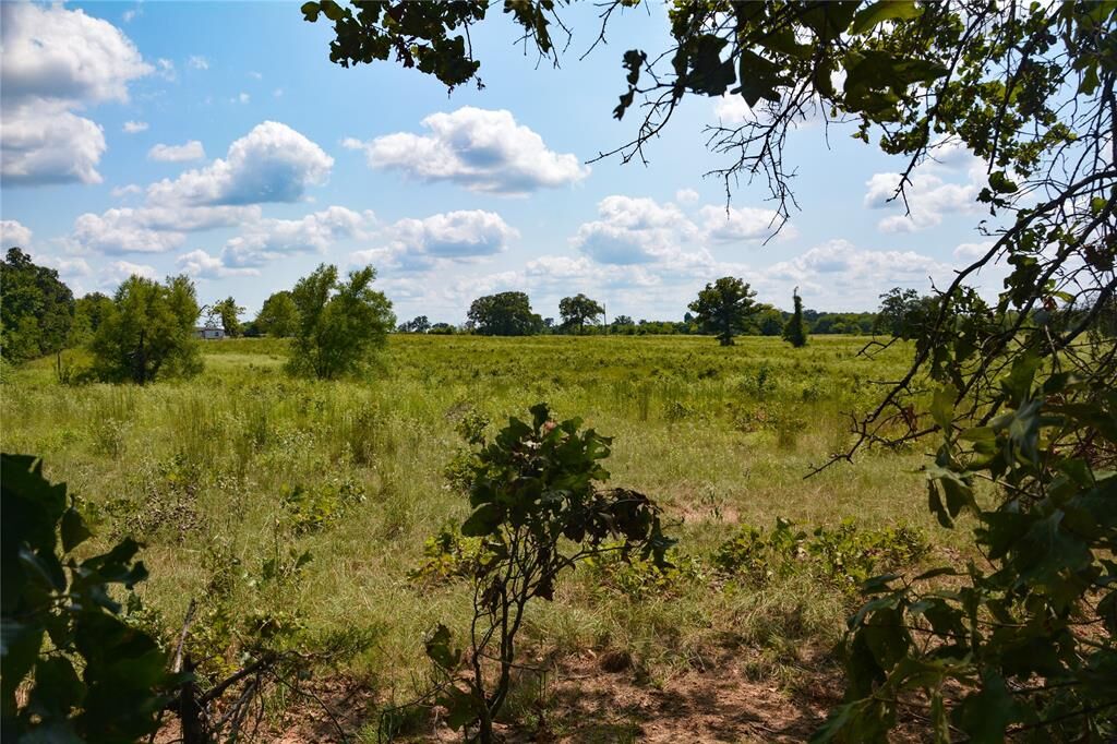 Property Photo:  Tbd Vz County Road 1821  TX 75140 