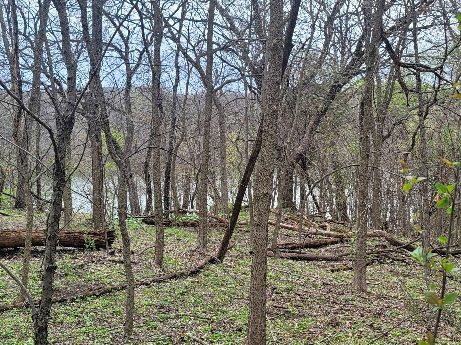 Property Photo: 4 Waterford Drive IL 61036