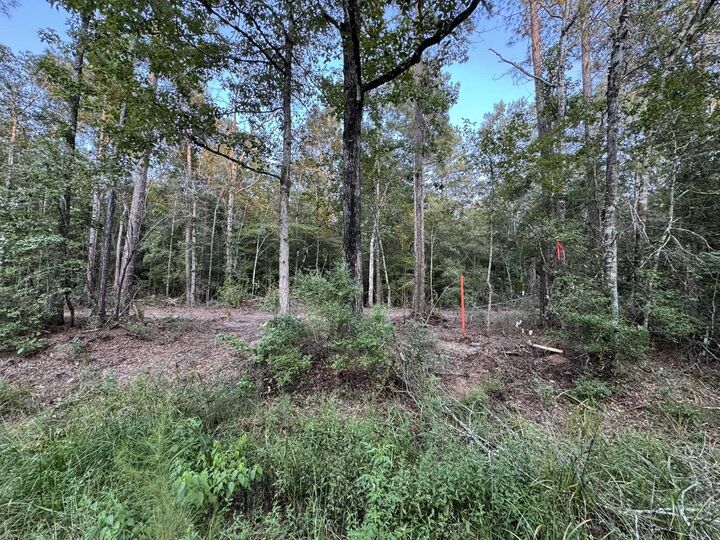 Property Photo:  730 Cr 459  TX 75956 