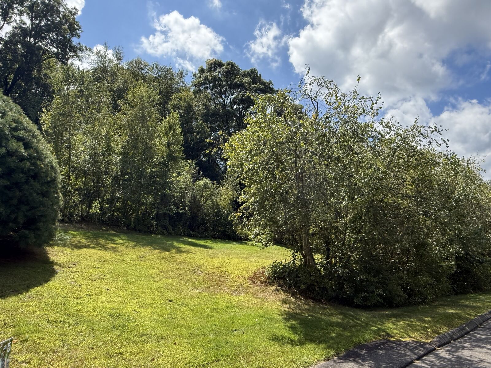 Property Photo:  Evelyn Drive  CT 06770