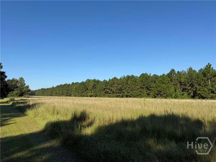 Property Photo:  0 Sunbury Road Tract 4  GA 30417 