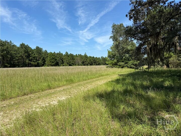 Property Photo:  0 Sunbury Road Tract 6  GA 30417 