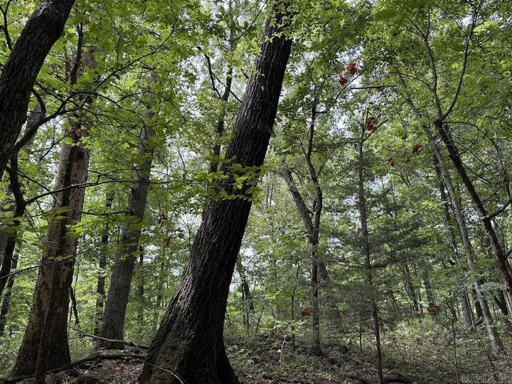 Property Photo: Tract 7 Terrapin Rd AR 72601