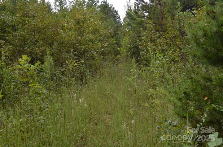 Property Photo:  0 Pate Road  NC 28139 