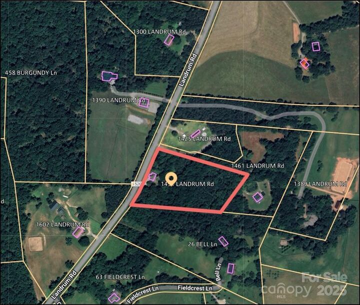 Property Photo:  1491 Landrum Road  NC 28722 
