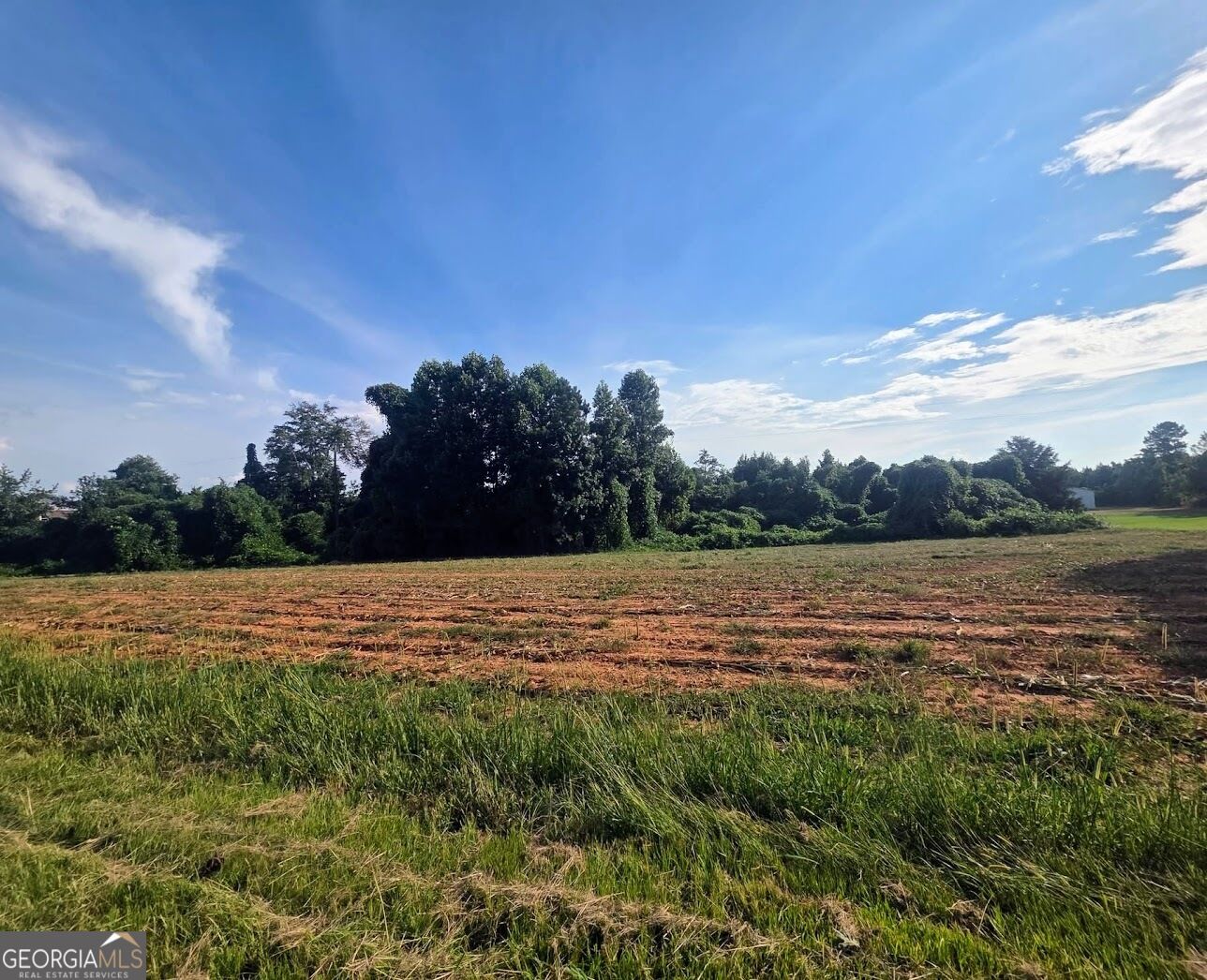 Property Photo:  15410 County Road 66  AL 36264 