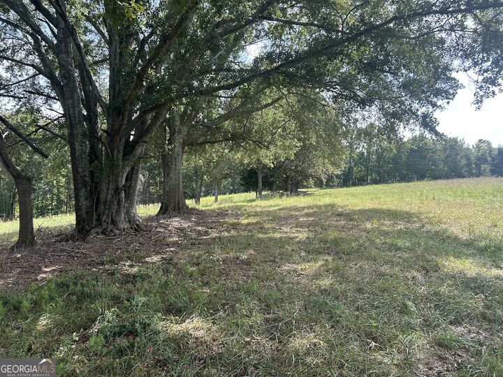Property Photo:  0 New Mexico Rd Tract 1 (7.47 Acres) Road  GA 30108 