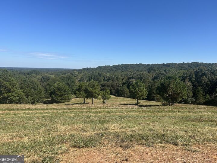 Property Photo:  0 New Mexico Road Tract 1 (7.47 Acres)  GA 30108 