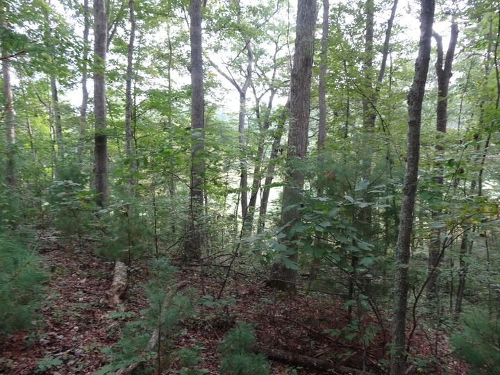 Property Photo:  Country Club Ln  WV 24901 