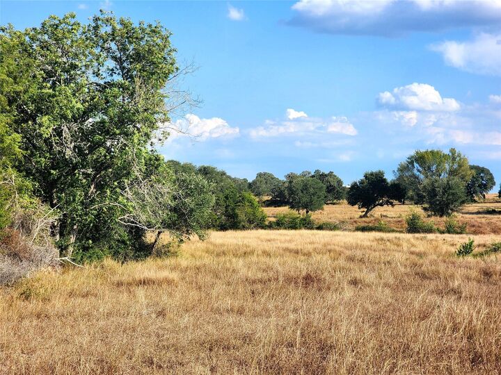 Property Photo: Tbd Tbd Fm 318 TX 77964