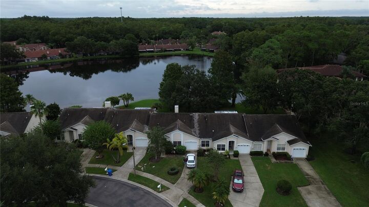 Property Photo: 3451 Mermoor Drive FL 34685