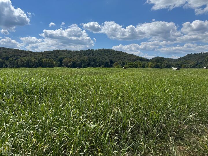 Property Photo: 39 White River Run AR 72540