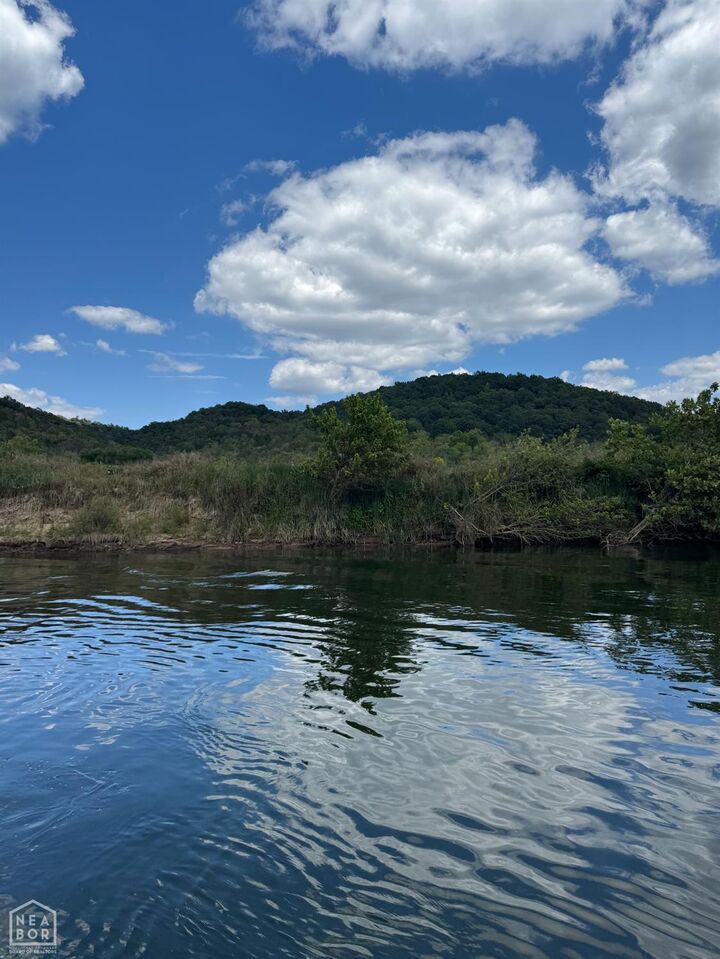 Property Photo: 43 White River Run AR 72540