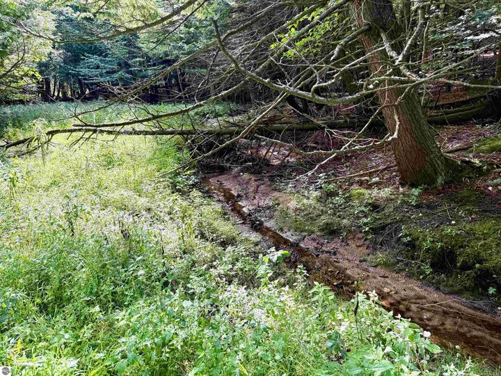 161 W Nachazel Road  Maple City MI 49664 photo