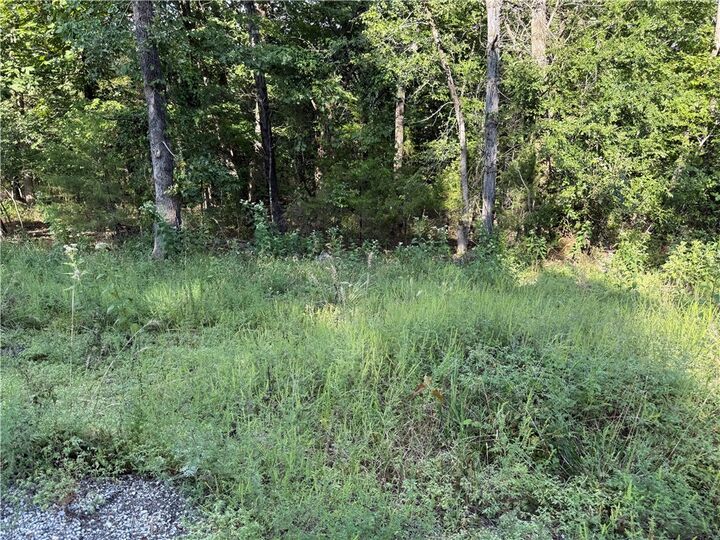 Property Photo: 36 Venus Avenue AR 72631