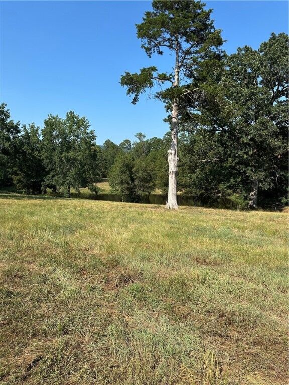 Property Photo:  Pine Street  AR 72843 
