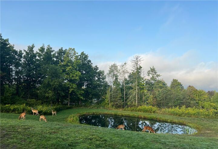 Property Photo:  2402 County Rd 7  NY 14865 