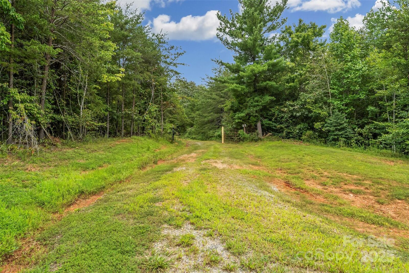 Property Photo:  4937 Snowhill Church Road  NC 28655 
